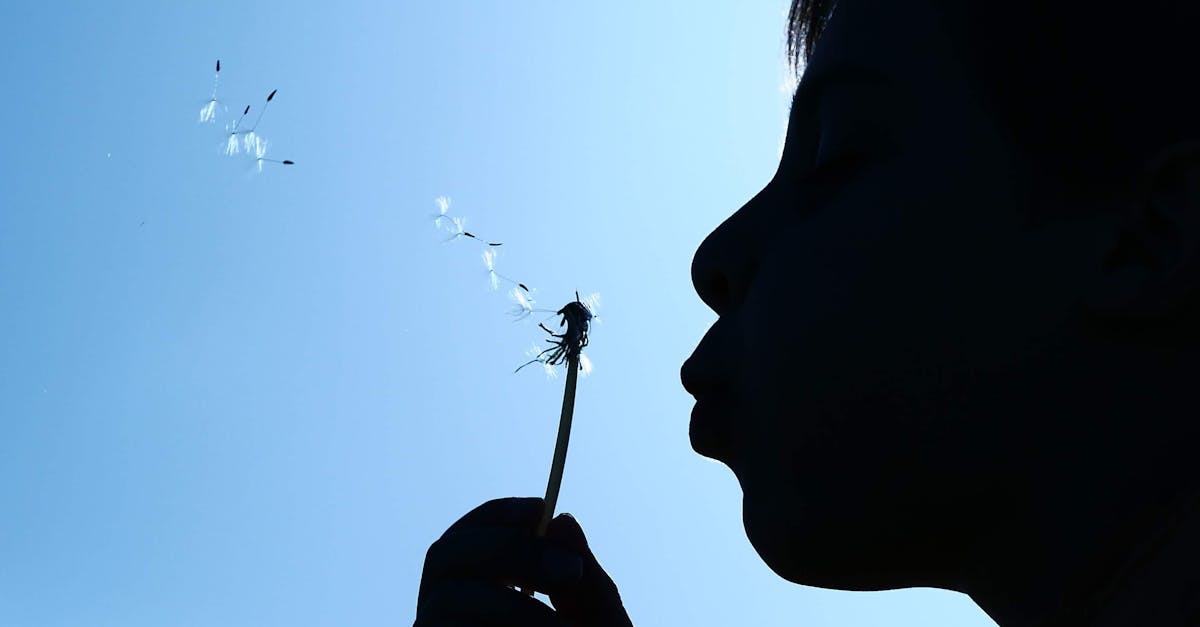 découvrez comment réaliser votre vie de rêve grâce à des conseils inspirants, des stratégies pratiques et des témoignages motivants. transformez vos aspirations en réalité et vivez la vie dont vous avez toujours rêvé.