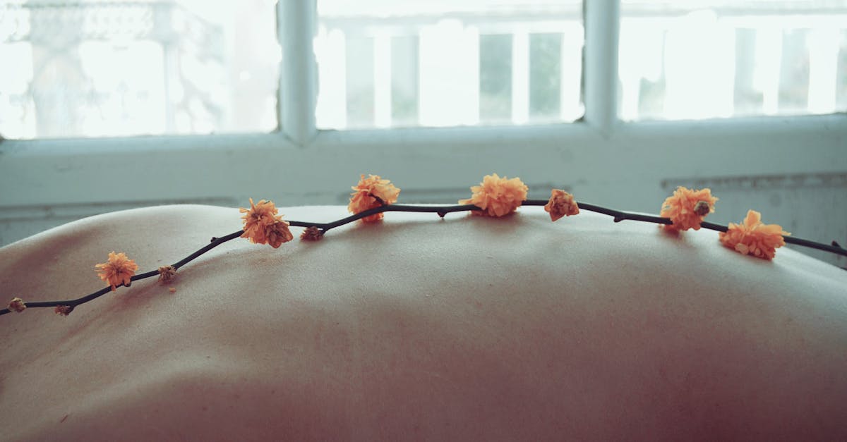 découvrez notre guide complet sur le bien-être, incluant des conseils sur la santé mentale, la nutrition équilibrée, l'exercice physique et des techniques de relaxation pour améliorer votre qualité de vie au quotidien.