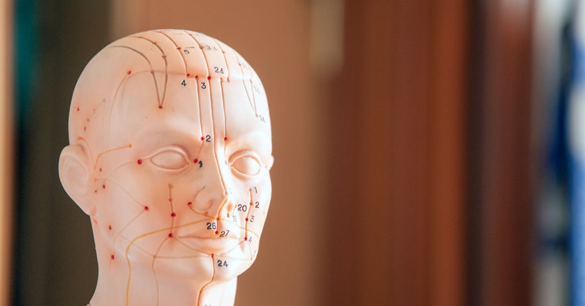 découvrez l'acupression, une méthode de guérison douce provenant de la médecine traditionnelle chinoise. apprenez comment cette technique d'influence des points de pression sur le corps peut soulager le stress, améliorer la circulation et favoriser le bien-être général.