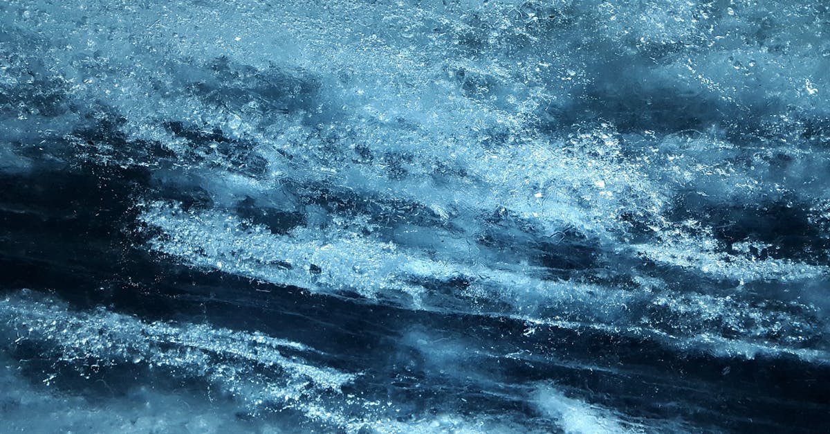découvrez un monde de sensations inoubliables, où chaque émotion prend vie à travers des expériences uniques et captivantes. explorez la richesse des sentiments et des perceptions qui éveillent vos sens.