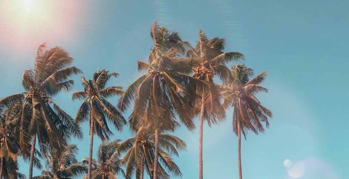 découvrez la magie de l'été : des journées ensoleillées, des escapades à la plage, des activités en plein air et des moments inoubliables entre amis et en famille. profitez de la saison estivale pour explorer de nouvelles destinations et vivre des expériences mémorables.