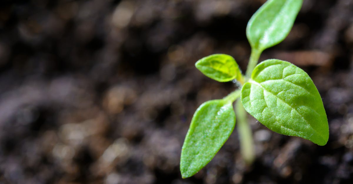 découvrez comment adopter des pratiques durables pour un avenir plus respectueux de l'environnement. conseils, actualités et solutions sur la sustainability pour préserver la planète.