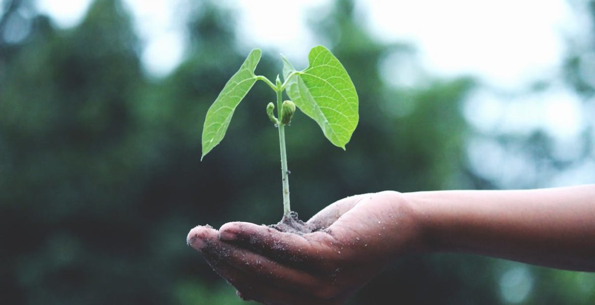 découvrez comment adopter des pratiques durables au quotidien et comprendre les enjeux majeurs de la sustainability pour un avenir respectueux de l’environnement.