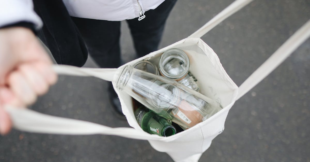 découvrez les principes fondamentaux de la sustainability : des pratiques écologiques, des stratégies pour protéger l'environnement, et des conseils concrets pour adopter un mode de vie durable au quotidien.